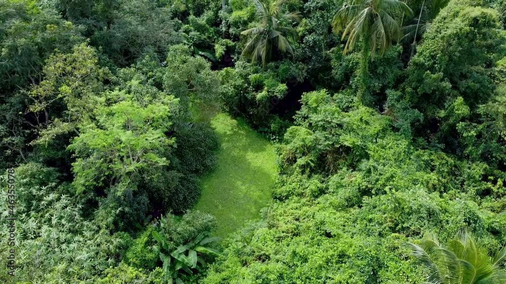 Aerial view of deep green forest or jungle at rainy season. Aerial view of deep green forest or jungle at rainy season.