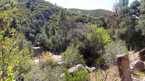 Open land out by Lake Cuyamaca, California. Located on the east side of San Diego. Green Valley trail. photo