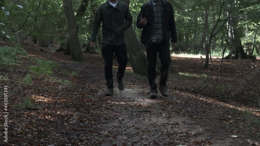 Two Male Friends Talking And Walking Along Forest Path Towards Camera. Static Shot Two Male Friends Talking And Walking Along Forest Path Towards Camera. Static Shot