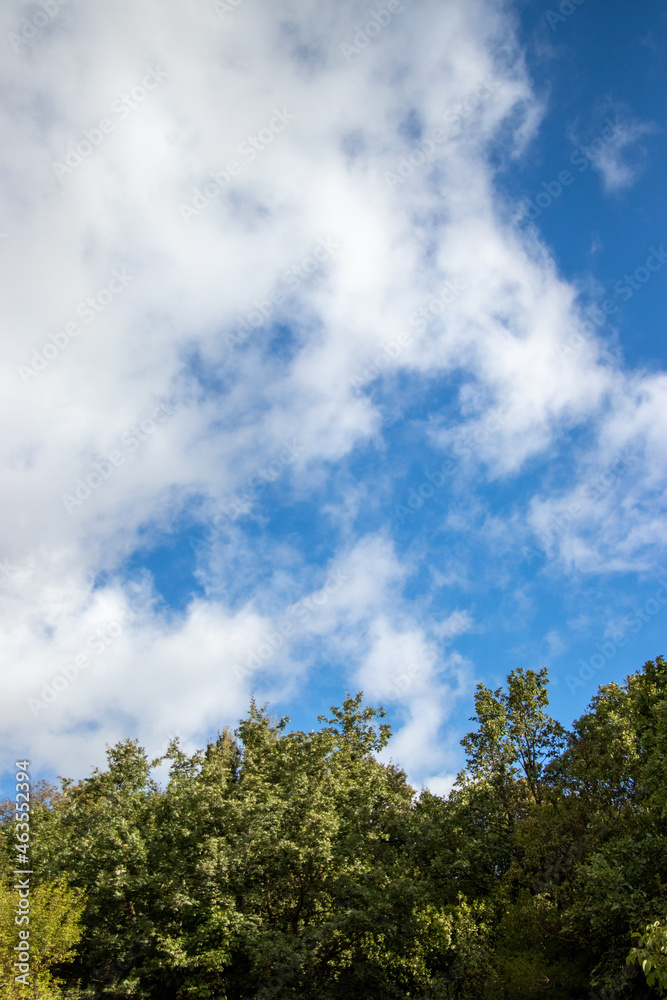 Blue bright sky of Sardinia with white clouds and trees