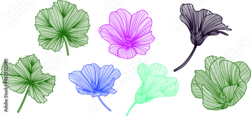 Hand drawn. Abstract color flower. Line art. Isolated sketch. Illustration vector. 