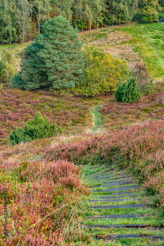 Heath area with a height of 92 meters, and with a beautiful view over the Gudenå valley.