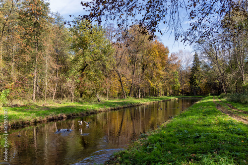 Park w zespole pałacowo-parkowym Branickich w Choroszczy, Podlasie, Polska 