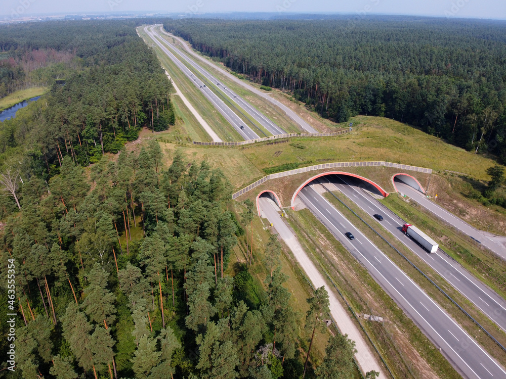 Expressway with ecoduct crossing - bridge over a motorway that allows wildlife to safely cross over the road