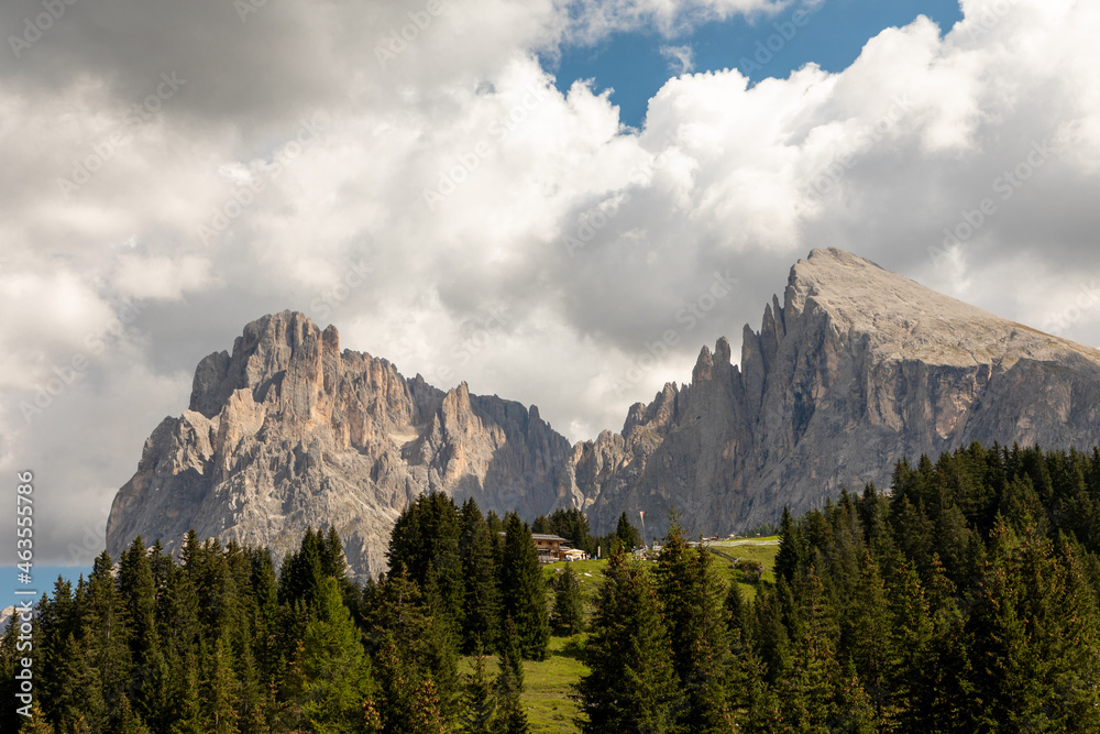 Fototapeta premium Blick über die Seiser Alm, Alpe di Siusi, auf Langkofel und Plattkofel, Südtirol