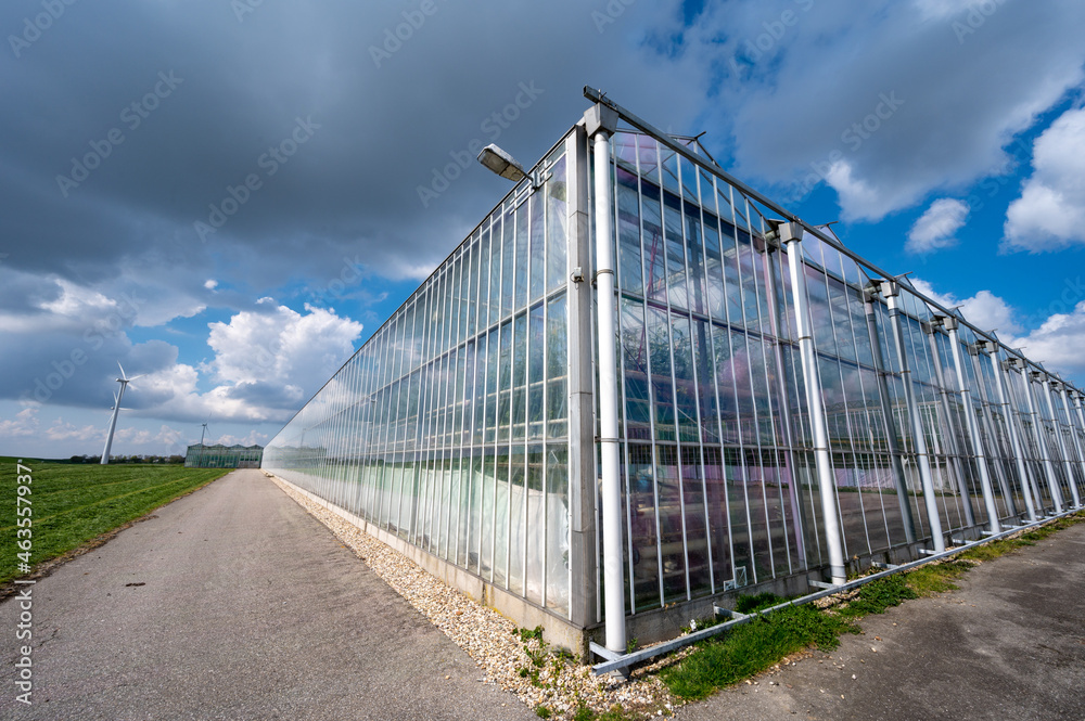Agriculture in Netherlands, big glass greenhouses used for growing organic vegetables and fruits, Zeeland
