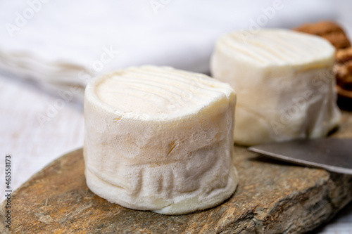 Cheese collection, soft goat French cheese with mold crottin de Chavignol produced in Loire Valley