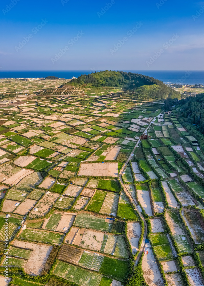 Fototapeta premium Cu Lao Re or Ly Son island or Volcanic island, Quang Ngai, Vietnam. 