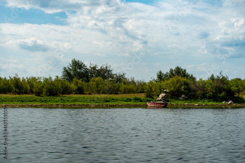 Landscape with waterline,  birds,  reeds and vegetation in Danube Delta,  Romania
