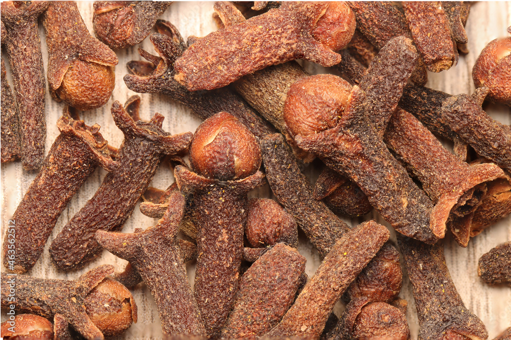 Close up photo of Clove or Cengkeh (Syzygium aromaticum) Close up photo of Clove or Cengkeh (Syzygium aromaticum)