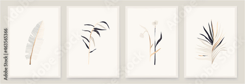 Modern hand drawn abstract plant art design illustrations. Trendy minimal floral print set.
White, pastel, beige, gold colors. photo