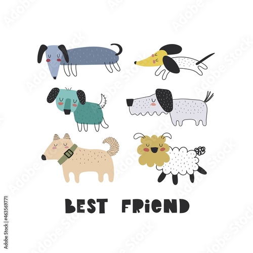 best friend. cartoon dog, hand drawing lettering . Colorful flat vector illustration for children. baby design for prints, posters, cards