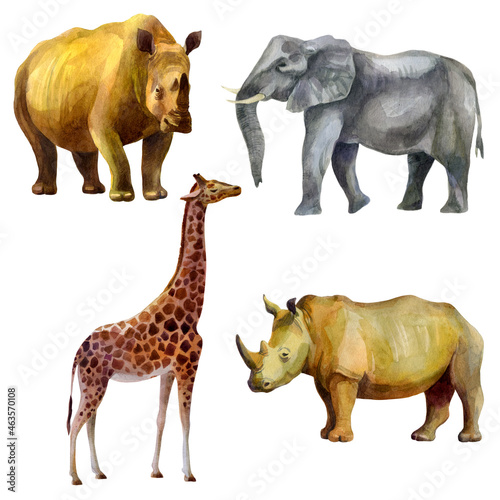 Watercolor illustration, set. African tropical animals hand-drawn in watercolor. Rhino, elephant, giraffe.