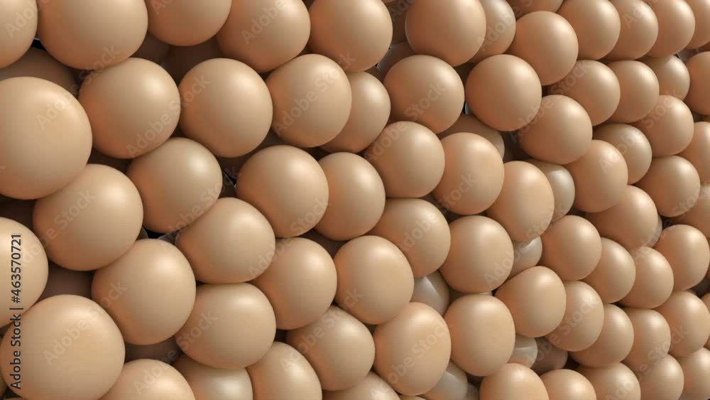 Sphere fat cell cholesterol medical tissue collect together molecule weight 4k Sphere fat cell cholesterol medical tissue collect together molecule weight 4k