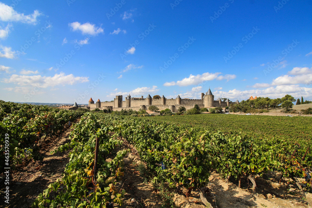 Cité de Carcassonne / France	