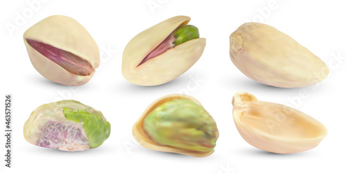 Vector raw pistachio nuts with shell. Realistic salted kernel background. Dry pistache isolated on white. Cooking food illustration.
