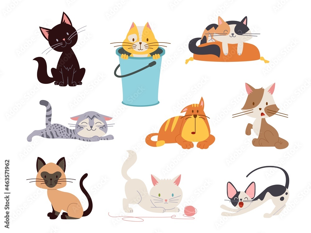 Cute cat characters. Drawing cats, isolated lovely pets. Cartoon flat kitten play and sleep. Animal stickers, simple funny emotional classy vector character