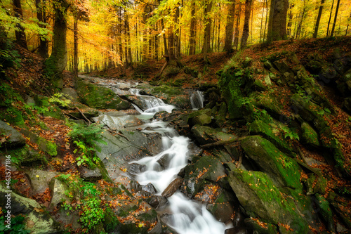 Fototapeta Naklejka Na Ścianę i Meble -  Beautiful autumn forest in the mountains