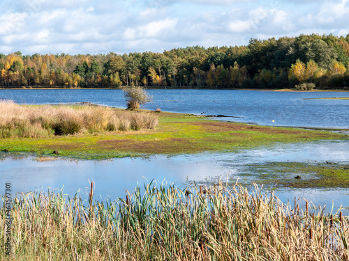 Lake, peat bog with moorgrass and reed in nature reserve Dwingelderverld, Drenthe, Netherlands photo