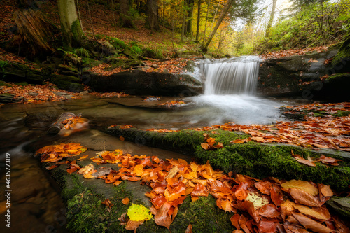 Fototapeta Naklejka Na Ścianę i Meble -  Beautiful autumn forest in the mountains