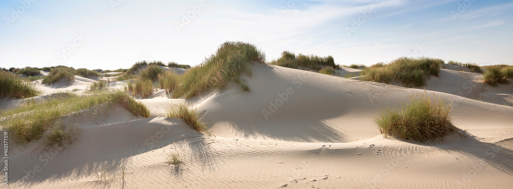 dutch wadden islands have many deserted sand dunes uinder blue summer sky in the netherlands - obrazy, fototapety, plakaty 