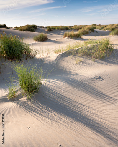 Fototapeta Naklejka Na Ścianę i Meble -  dutch wadden islands have many deserted sand dunes uinder blue summer sky in the netherlands