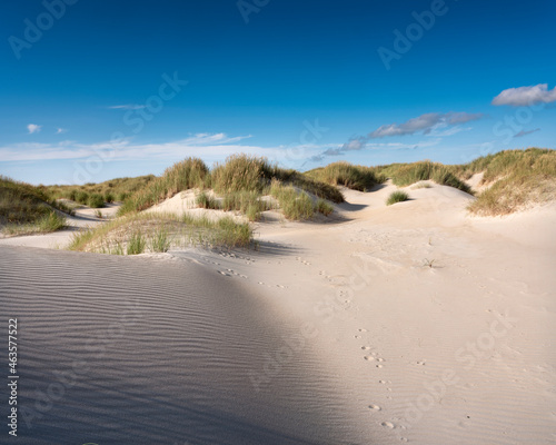 dutch wadden islands have many deserted sand dunes uinder blue summer sky in the netherlands photo