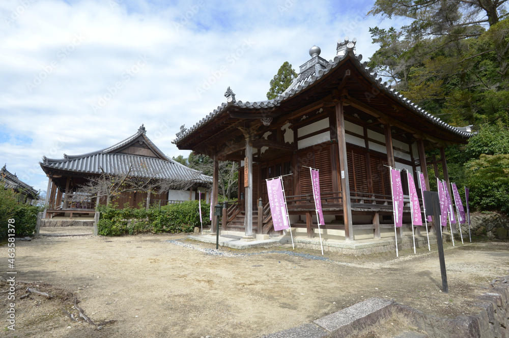 叡福寺　見真大師堂と浄土堂　大阪府南河内郡太子町