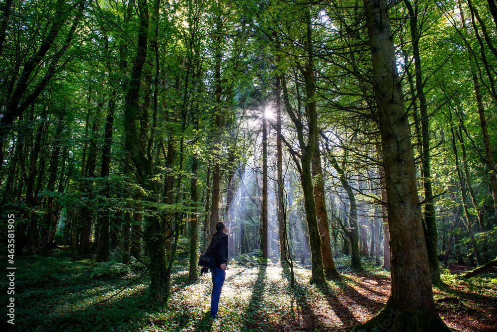 Man in the forest sun rays