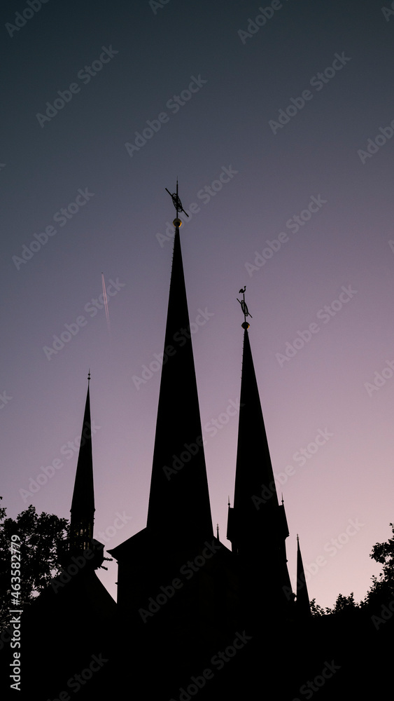 Obraz premium The silhouette of old buildings in Luxembourg. 