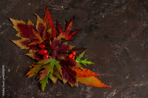 Autumn composition, colorful autumn leaves on brown background. Flat lay, top view, copy space