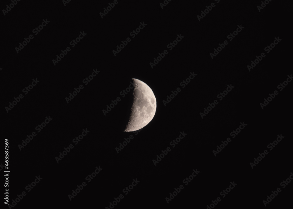 Obraz premium moon in the night