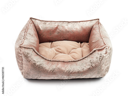 Bed for a dog, a pet