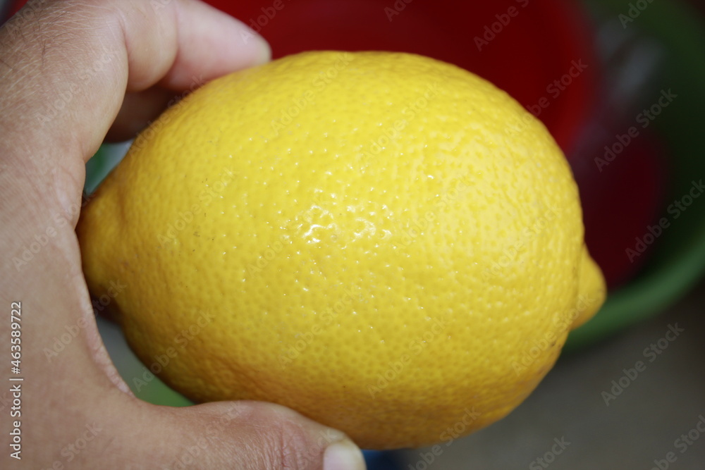 A woman holding fresh ripe yellow lemon in hand. Lemon background. Close Up picture of woman hands. A woman holding fresh ripe yellow lemon in hand. Lemon background. Close Up picture of woman hands.
