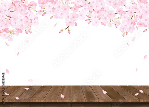 華やかな桜の花とウッドデッキの春の白バックベクター背景素材