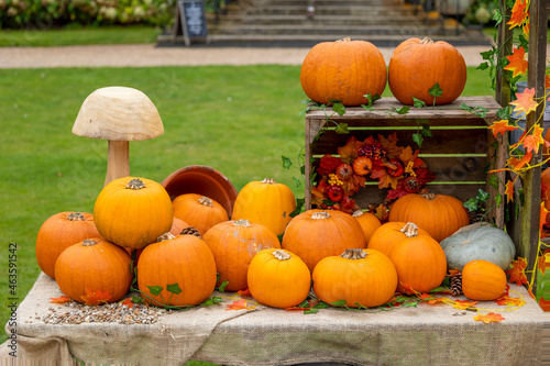 Pumpkin display ready for halloween.