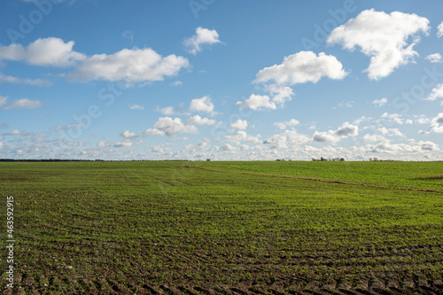 field and blue sky © Urmas