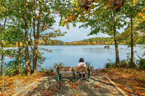 Autumn Solitude