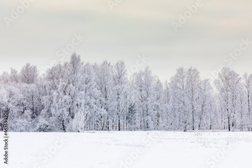 Magical winter landscape. Snow cowered trees. Winter in Finland © Artem