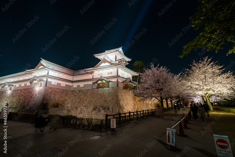 春の金沢旅行で訪ねたい金沢城公園の夜桜