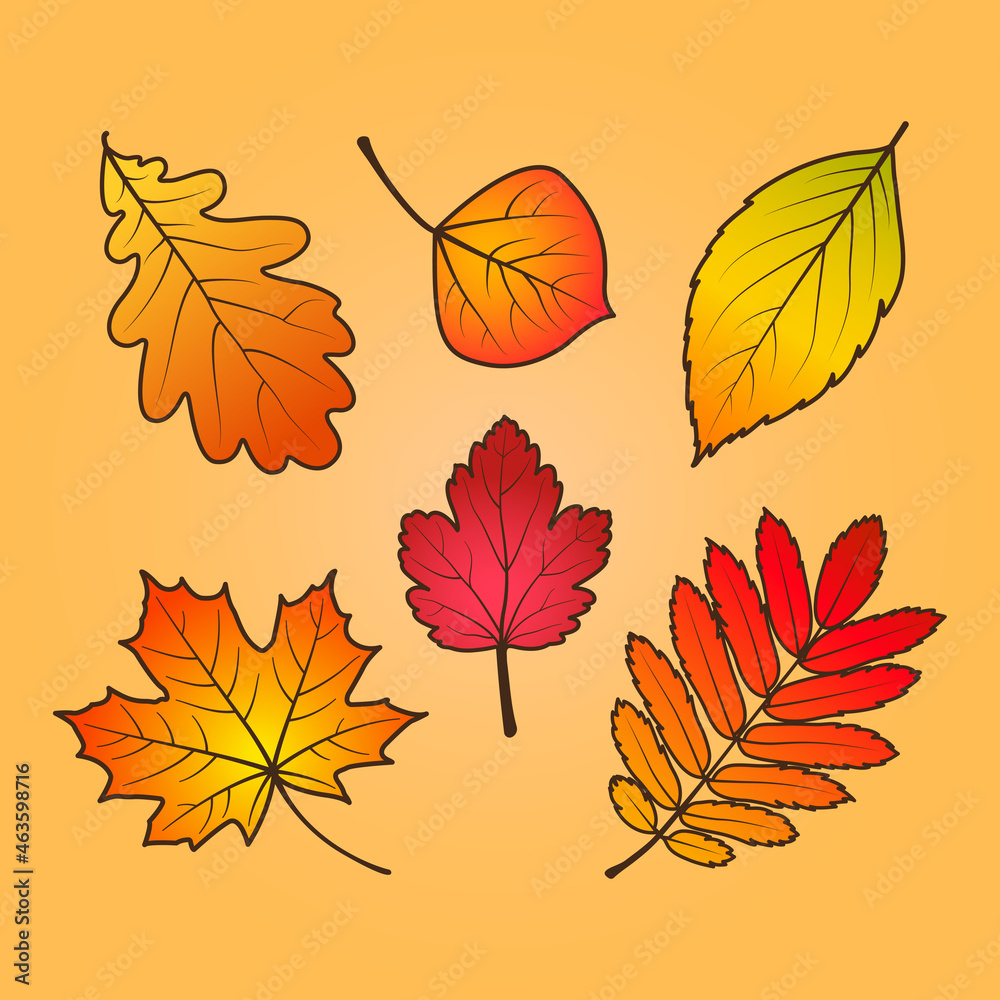 Obraz premium Set of autumn leaves.