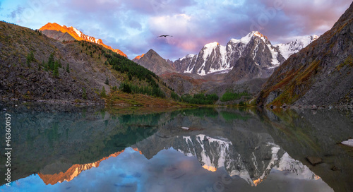 Panoramic view of a blue clean mountain lake in the Altai, Siber