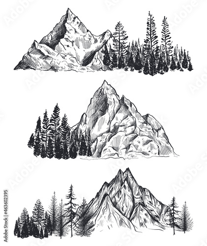 Vector set of hand drawn graphic mountain ranges and pine forest.