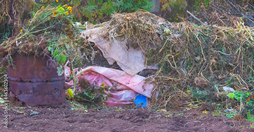 compost heap with garbage in the country and in the garden, a barrel for incineration of garbage.