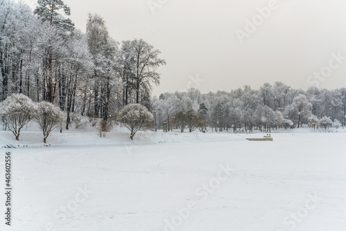 Winter view from a snow-covered pond to the trees around