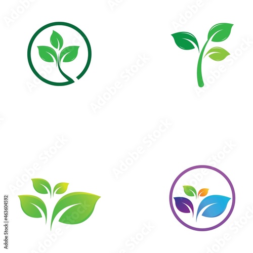 leaf logo and vector images