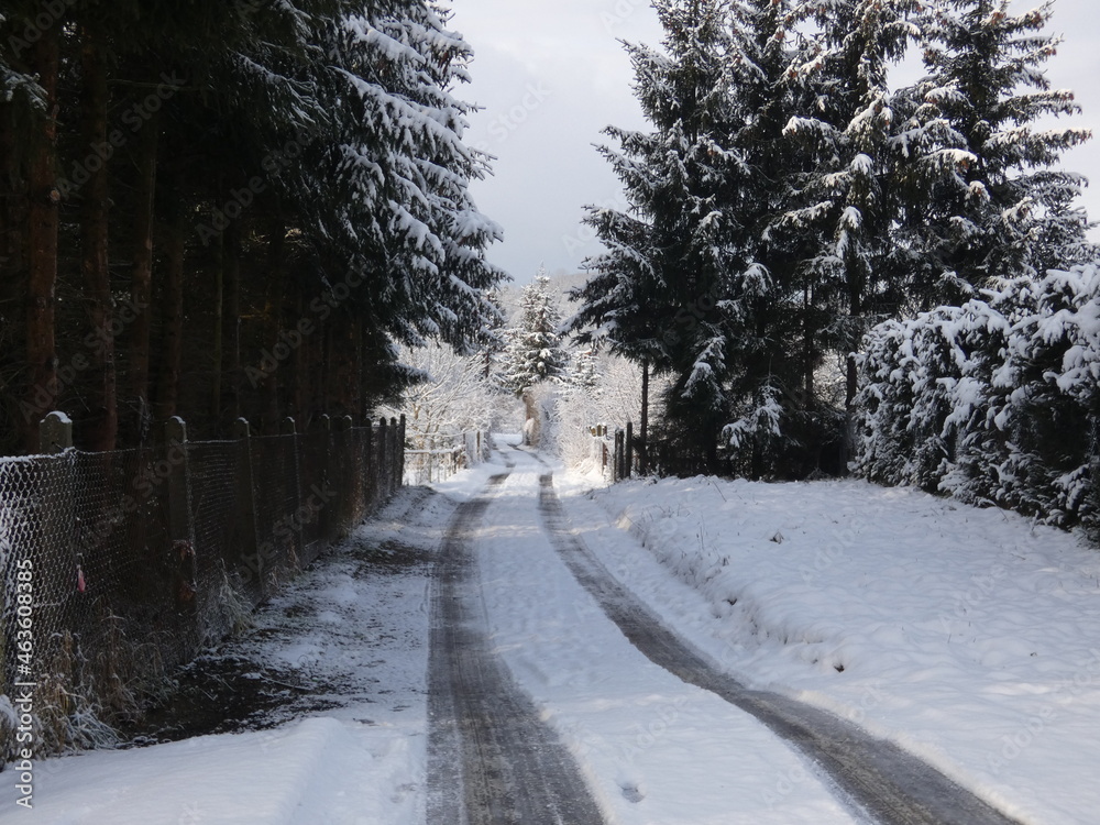 Obraz premium road in winter