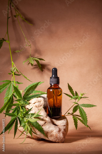 Fototapeta Naklejka Na Ścianę i Meble -  bottle of serum with branch of cannabis on natural stone, with copy space