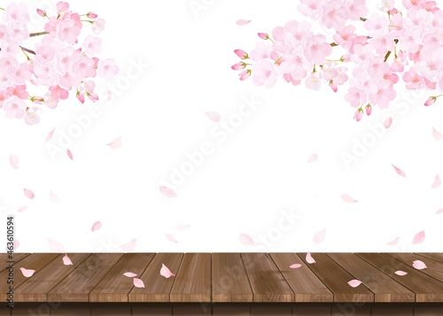 美しく華やかな満開の桜の花と花びら舞い散る春の白バックフレームベクター素材イラスト
