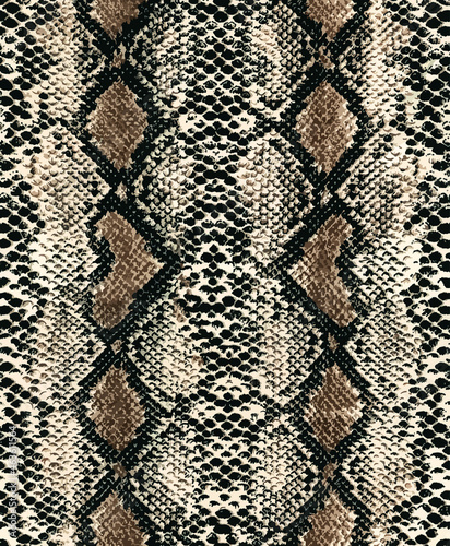 snake skin pattern design. aimal leather seamless  photo